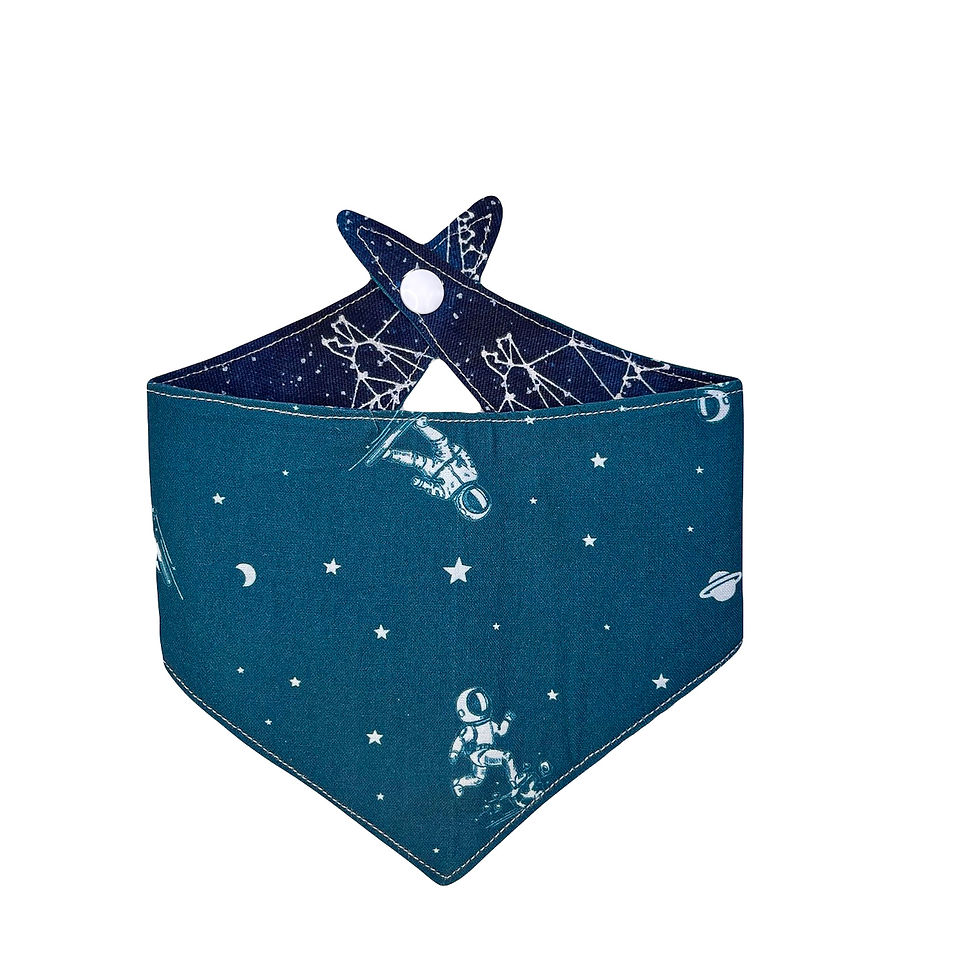 Thumbnail: Glow in the Dark Constellation Dinosaurs