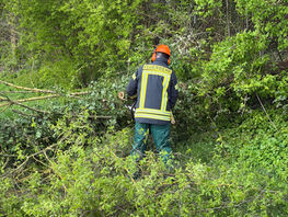 Einsatz Nr. 29 / H1 - Baum auf Straße