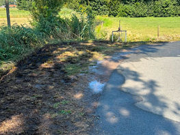 Einsatz Nr. 52 / F1 - Flächenbrand