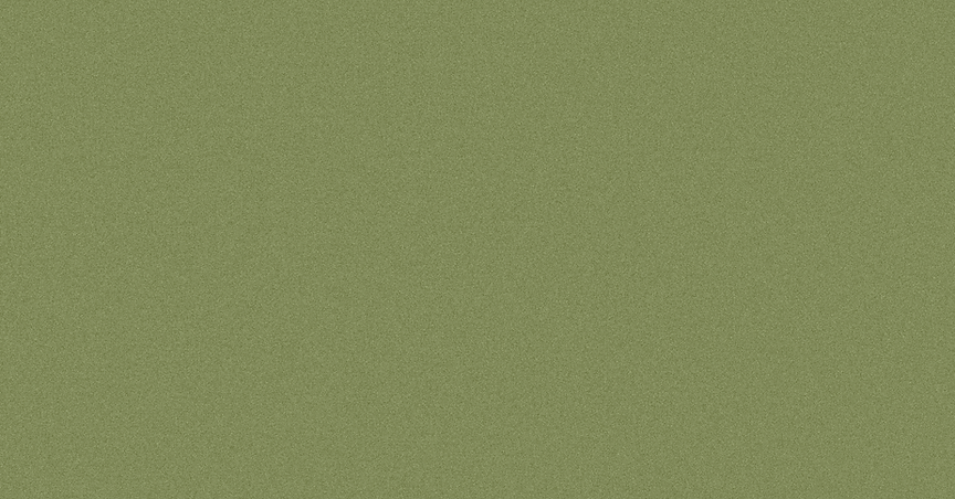 Background with grain texture 1920 x 1005.png
