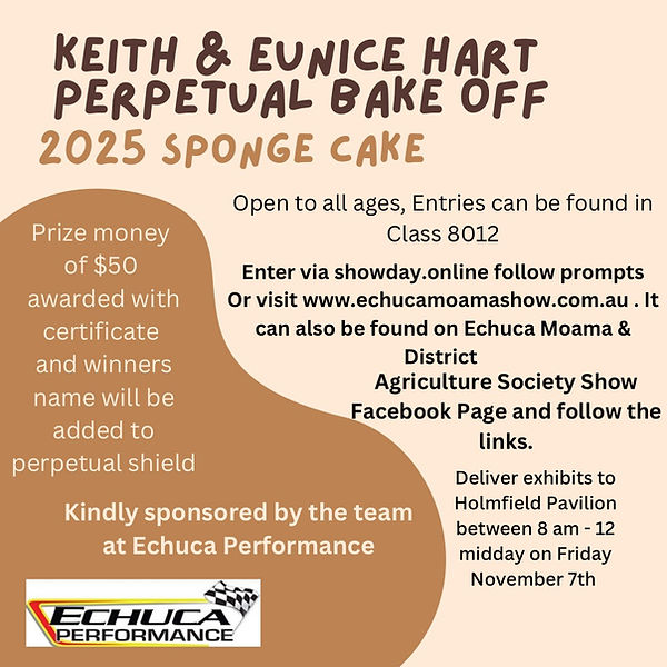 Brown Minimalist Chocolate Brownies Promo Instagram Post.png