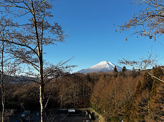 謹んで年始のご挨拶を申し上げます