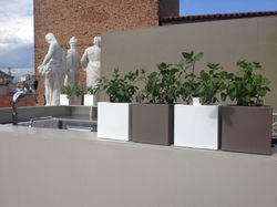 Terrazza Basilica