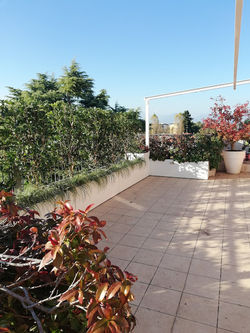 IMG_20201106_143753
