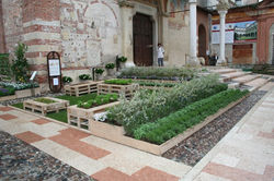 Officina delle Essenze