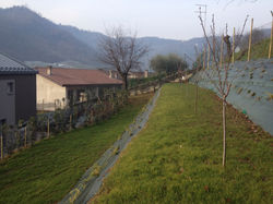Countrygarden