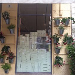 Allestimento estivo_invernale