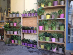 Allestimento estivo