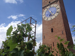 Terrazza Basilica