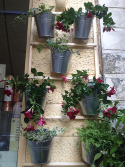 Allestimento estivo_invernale
