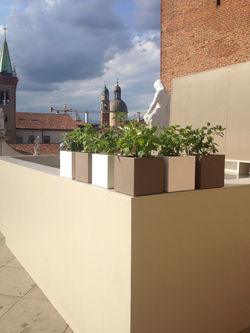 Terrazza Basilica