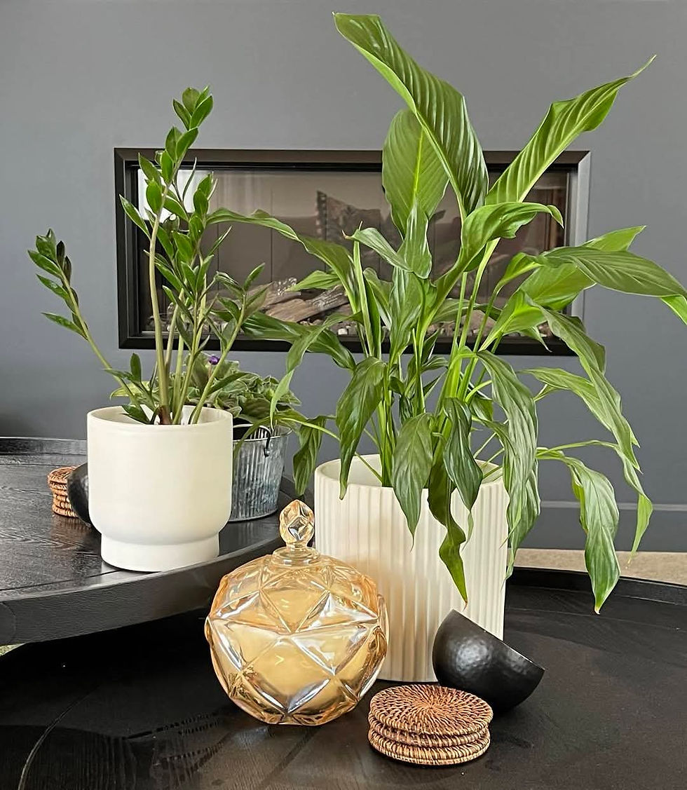 Thumbnail: Gingerbread