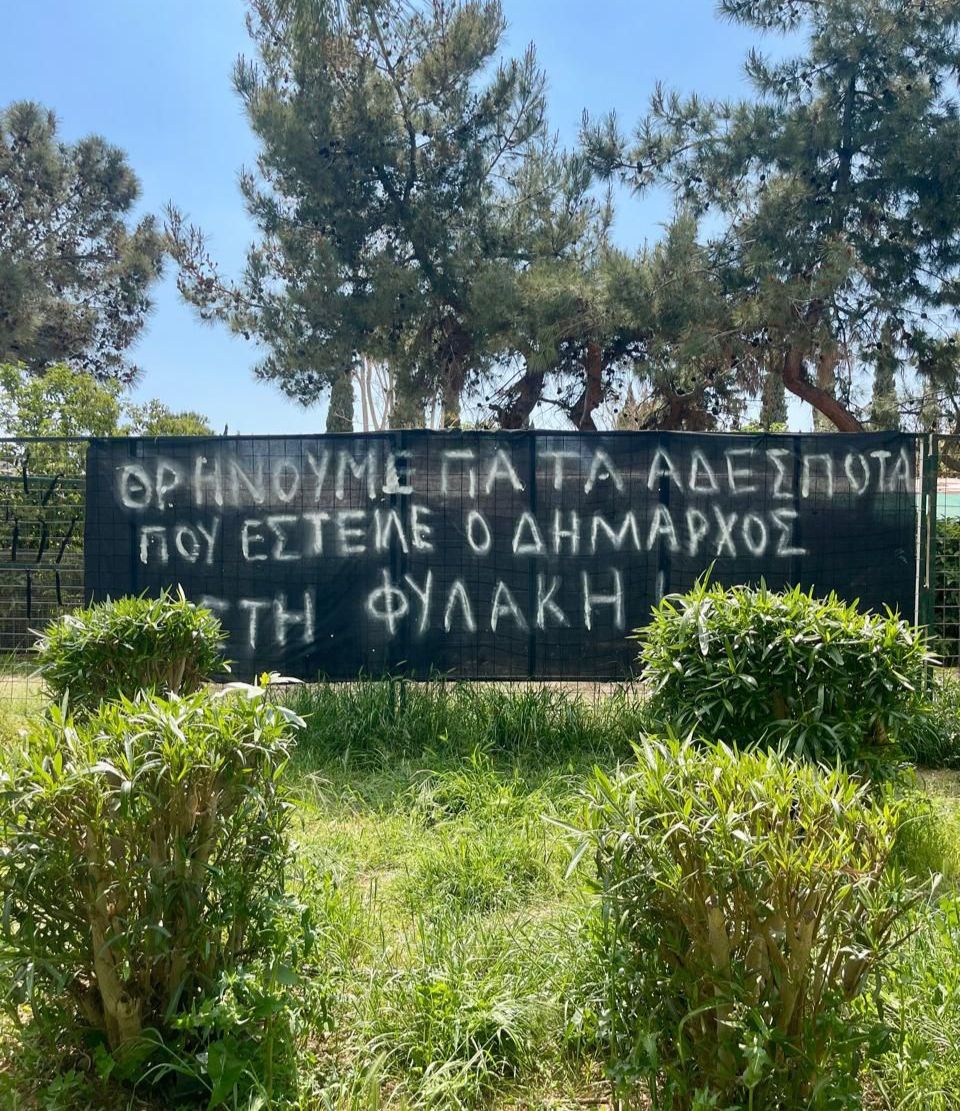 Αντιδράσεις στο Παλαιό Φάληρο για τη μεταφορά αδέσποτων σε πανσιόν – Τι απαντά ο δήμος (βίντεο)