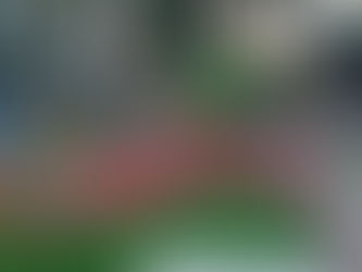 Προσωρινά κλειστή η Παιδική Χαρά της οδού Ζαρίφη στη Νέα Σμύρνη