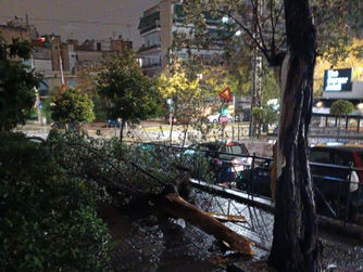 Νέα Σμύρνη: Πτώση μεγάλου κορμού σε πεζοδρόμιο εν μέσω κακοκαιρίας «Erminio»