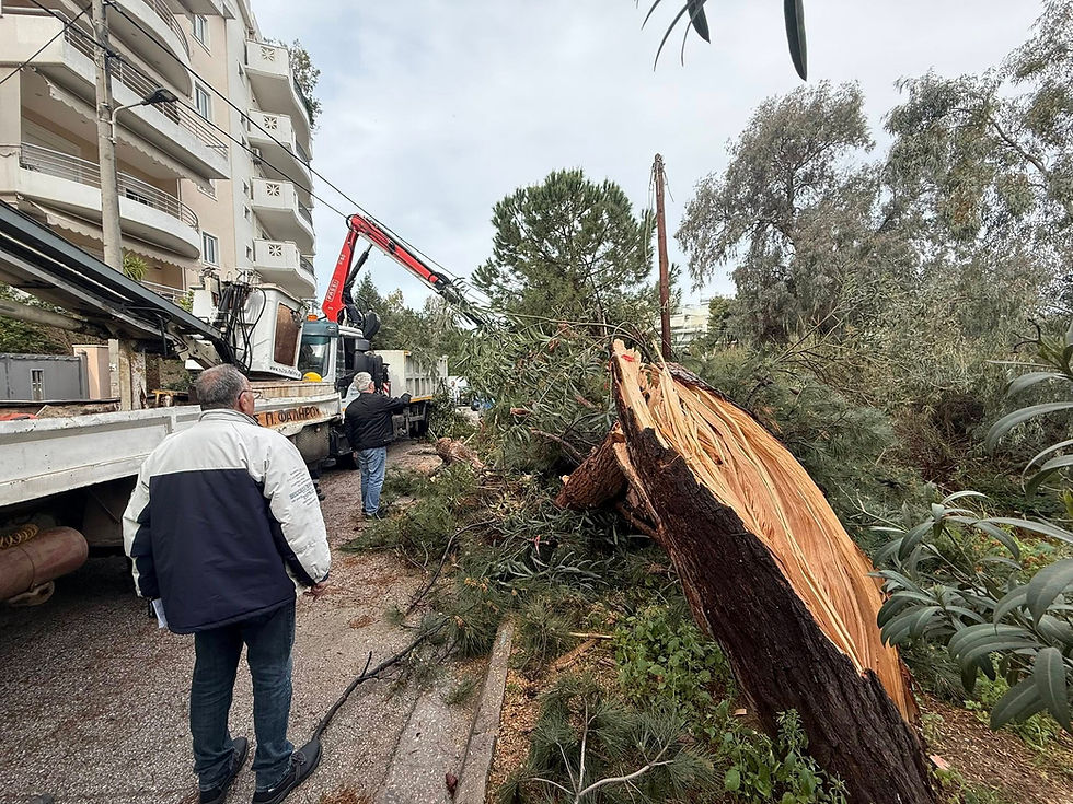 Κακοκαιρία στο Παλαιό Φάληρο: Παρεμβάσεις για πτώσεις δέντρων – Σε επιφυλακή ο Δήμος
