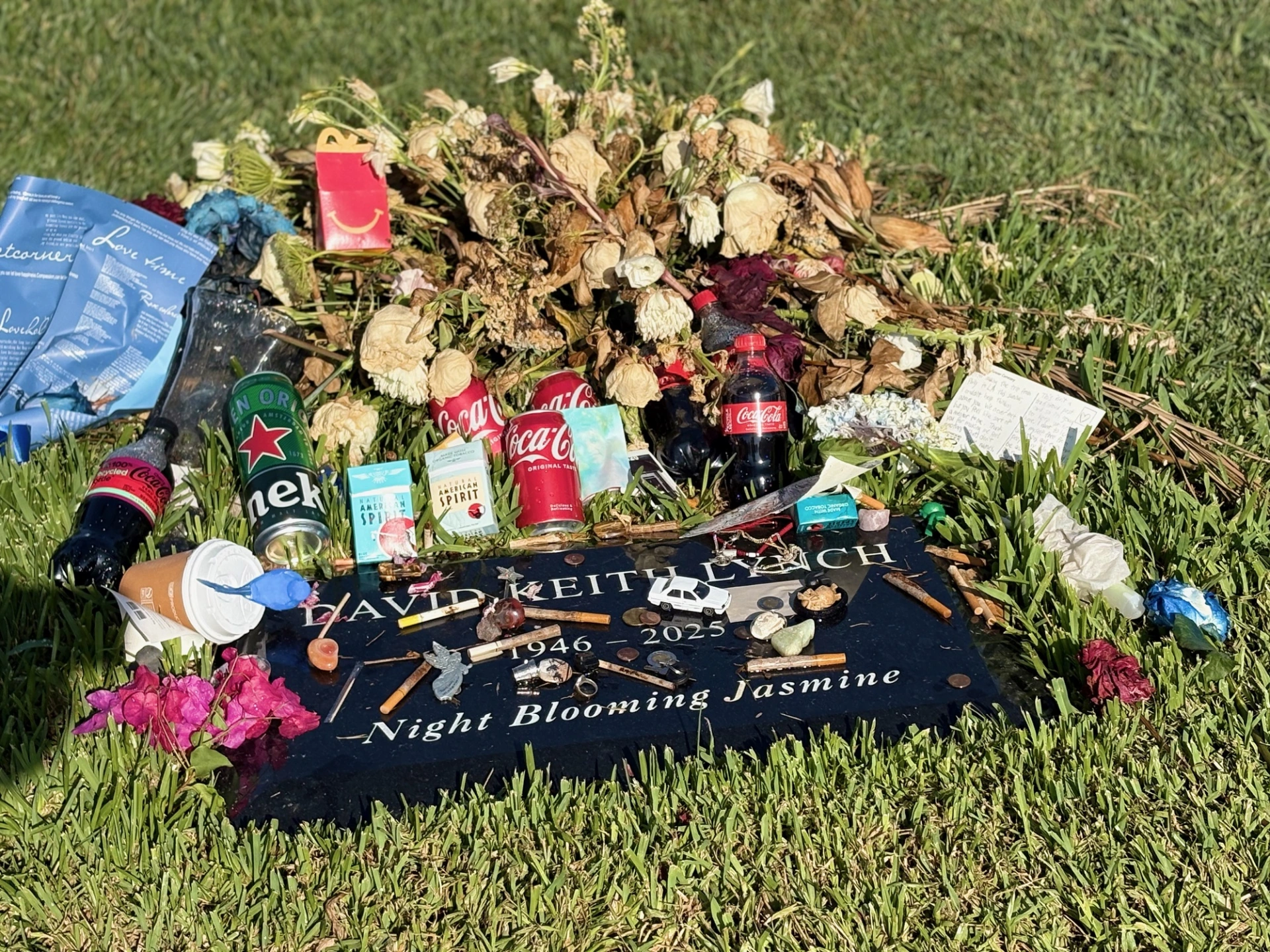 Ο Αλέξανδρος Κώτσης έχει τη μεγαλύτερη Ντέιβιντ Λιντς συλλογή που θα δεις σήμερα