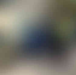 Κατεδάφιση αυθαίρετων κτισμάτων στο Ρέμα Πικροδάφνης – Παρέμβαση αποκατάστασης στο Παλαιό Φάληρο