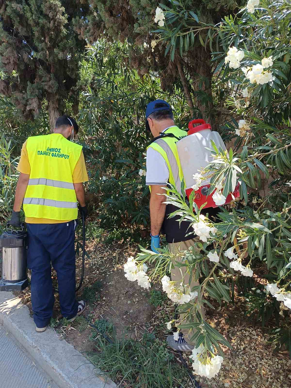 Ιός του Δυτικού Νείλου: Ενισχύονται τα μέτρα καταπολέμησης των κουνουπιών στο Παλαιό Φάληρο