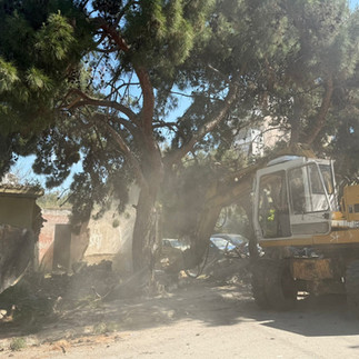 Κατεδάφιση αυθαίρετων κτισμάτων στο Ρέμα Πικροδάφνης – Παρέμβαση αποκατάστασης στο Παλαιό Φάληρο