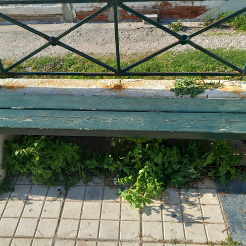 Σπασμένα πεζοδρόμια στην παραλιακή Παλαιού Φαλήρου – Έντονες διαμαρτυρίες κατοίκων