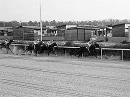 Πριν το ΚΠΙΣΝ: Η άγνωστη ιστορία του Ιπποδρόμου στο Φαληρικό Δέλτα