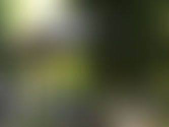 Κλείνει το Άλσος Νέας Σμύρνης για το σχολικό πρωτάθλημα – Ποιες ώρες δεν θα λειτουργεί