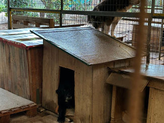 Διευκρινίσεις του Δήμου Παλαιού Φαλήρου για τον χώρο προσωρινής φιλοξενίας αδέσποτων ζώων