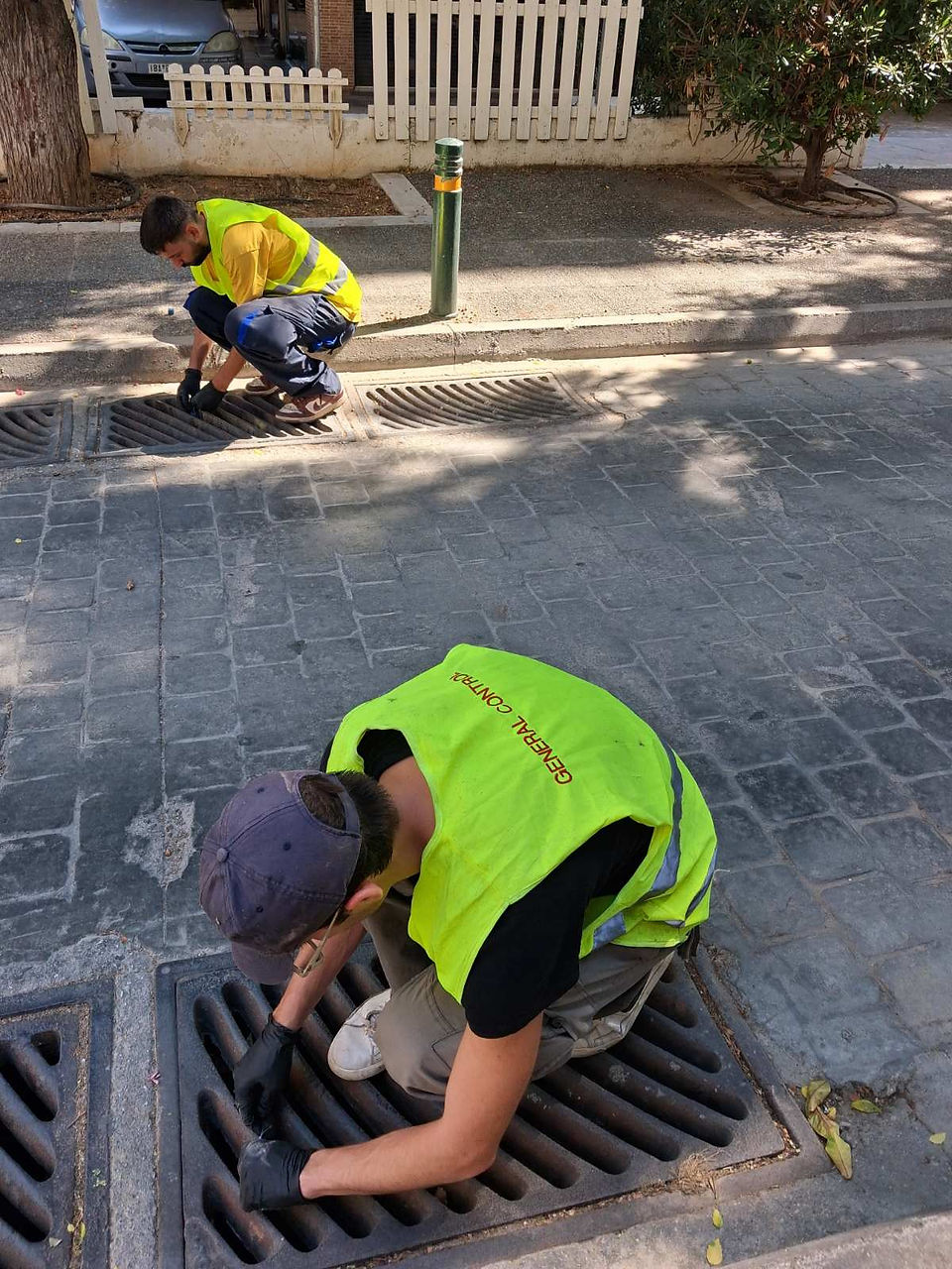 Παρεμβάσεις μυοκτονίας και απεντόμωσης από τον Δήμο Παλαιού Φαλήρου