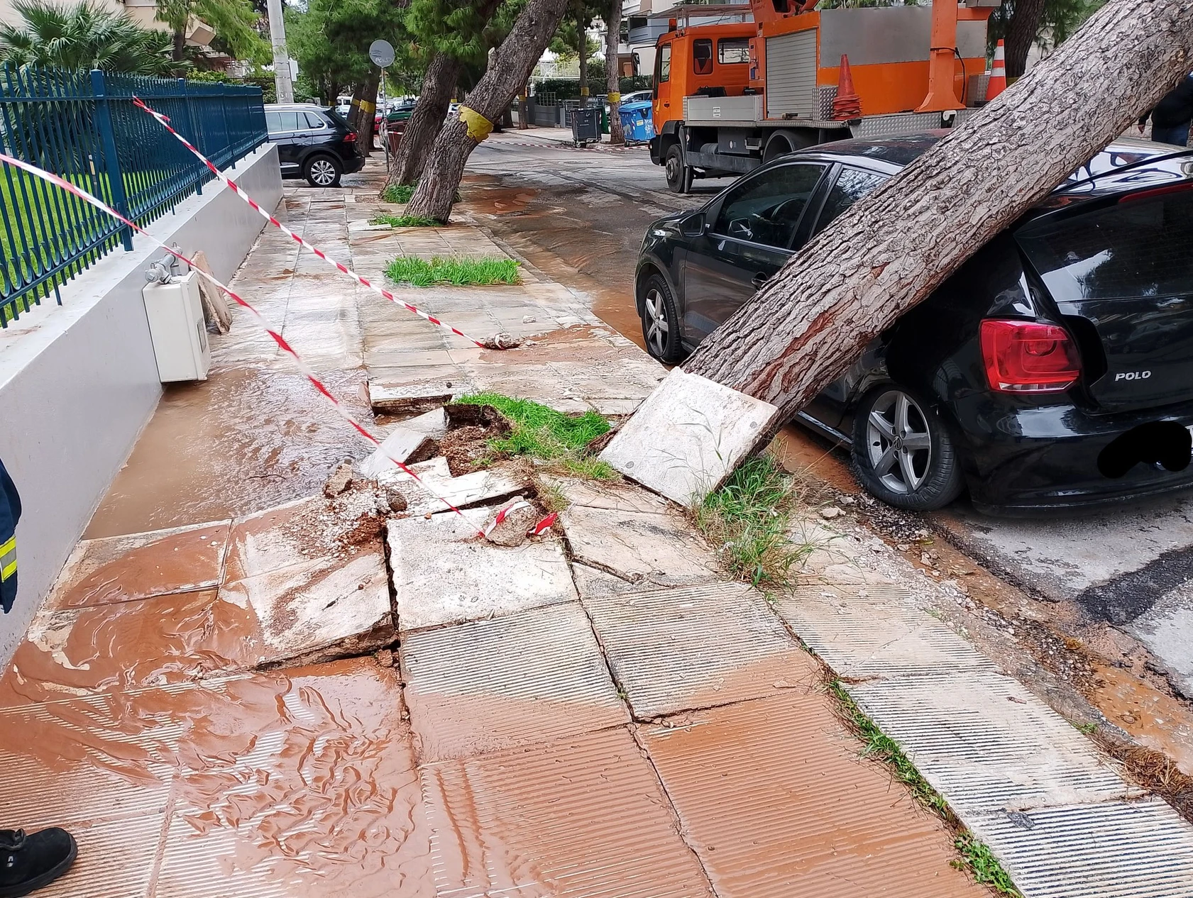 Πτώσεις δέντρων στις πόλεις: Τι συμβαίνει με το αστικό πράσινο – Περιστατικά και στο Παλαιό Φάληρο