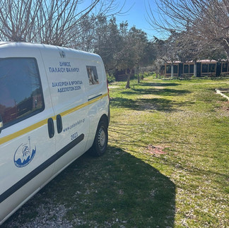 Αντιδράσεις στο Παλαιό Φάληρο για τη μεταφορά αδέσποτων σε πανσιόν – Τι απαντά ο δήμος (βίντεο)