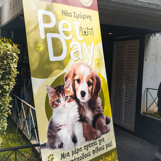 Φιλοζωία και Εθελοντισμός στο επίκεντρο: Σημαντική εκδήλωση στο “Γαλαξία” της Νέας Σμύρνης