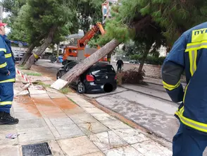 Πτώσεις δέντρων στις πόλεις: Τι συμβαίνει με το αστικό πράσινο – Περιστατικά και στο Παλαιό Φάληρο