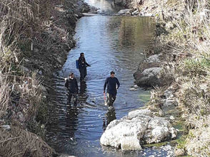 Δήμος Παλαιού Φαλήρου: Σε εξέλιξη δράσεις καταπολέμησης κουνουπιών στην πόλη