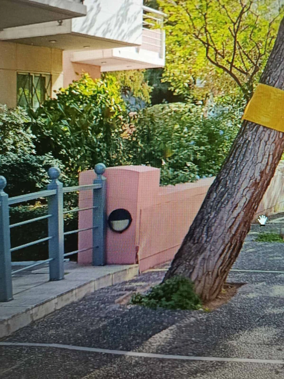 Το Παλαιό Φάληρο απομάκρυνε επικίνδυνο πεύκο και προχώρησε σε νέες δενδροφυτεύσεις - Η συζήτηση που ανοίγει για τη Νέα Σμύρνη