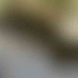 Τι συμβαίνει στο ρέμα της Πικροδάφνης;