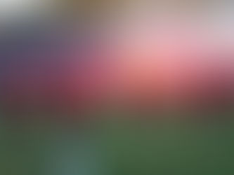 Ποδόσφαιρο: Δυναμικό «παρών» των φιλάθλων στην πρώτη ανοιχτή προπόνηση του Πανιωνίου (Βίντεο)