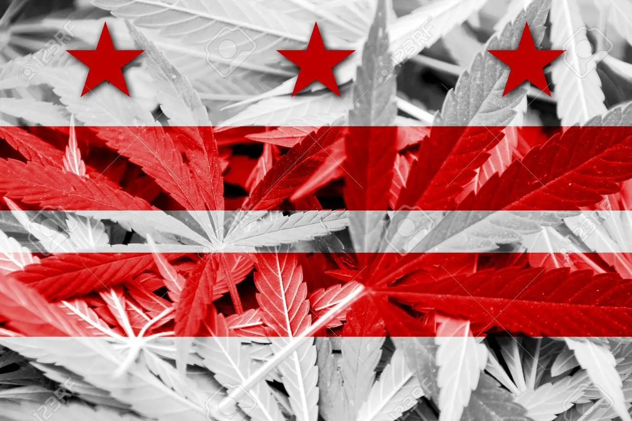 D.C. flag with marijuana leafs. Best marijuana dispensary in Washington D.C.