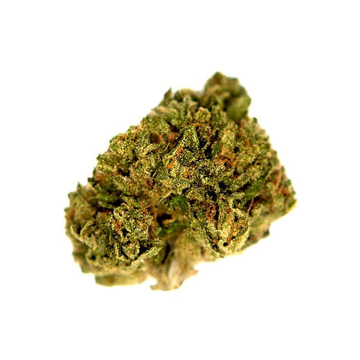 【ディグダ】OGKush 10 SweetSkunk 10 ディグダ】OGKush 10 SweetSkunk 10 Candy Cane Kush Feminized
