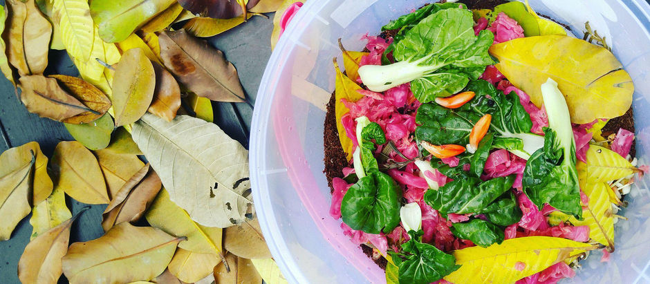 Composting at Home