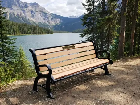 Memorial bench with custom finishing donor recognition plaque installed on lakeside trail with mountain scenery