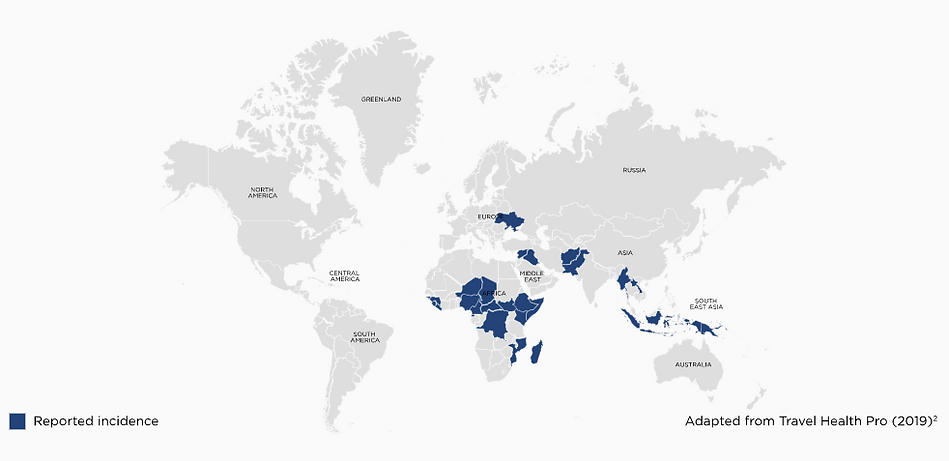 Map of the world showing areas with risk of polio