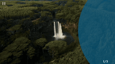 Adobe Express - Hawaii.gif