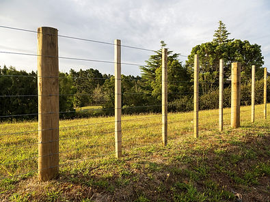 A livestock / post and batten fence.