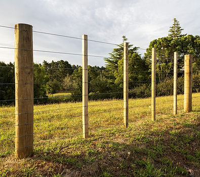 Post and batten fence