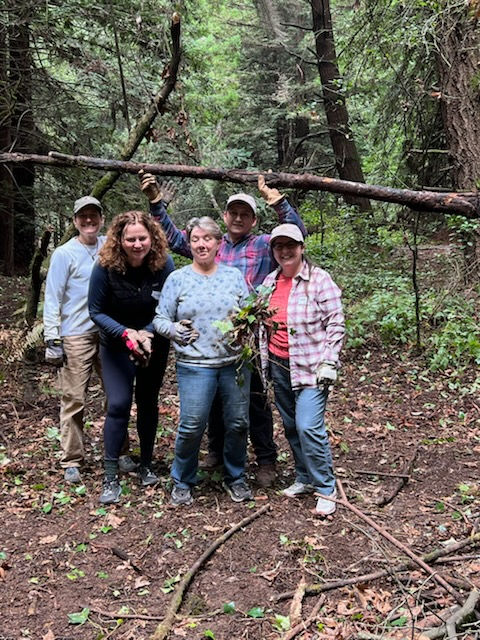 More Emmett Grove crew showing the fruits of their labor!