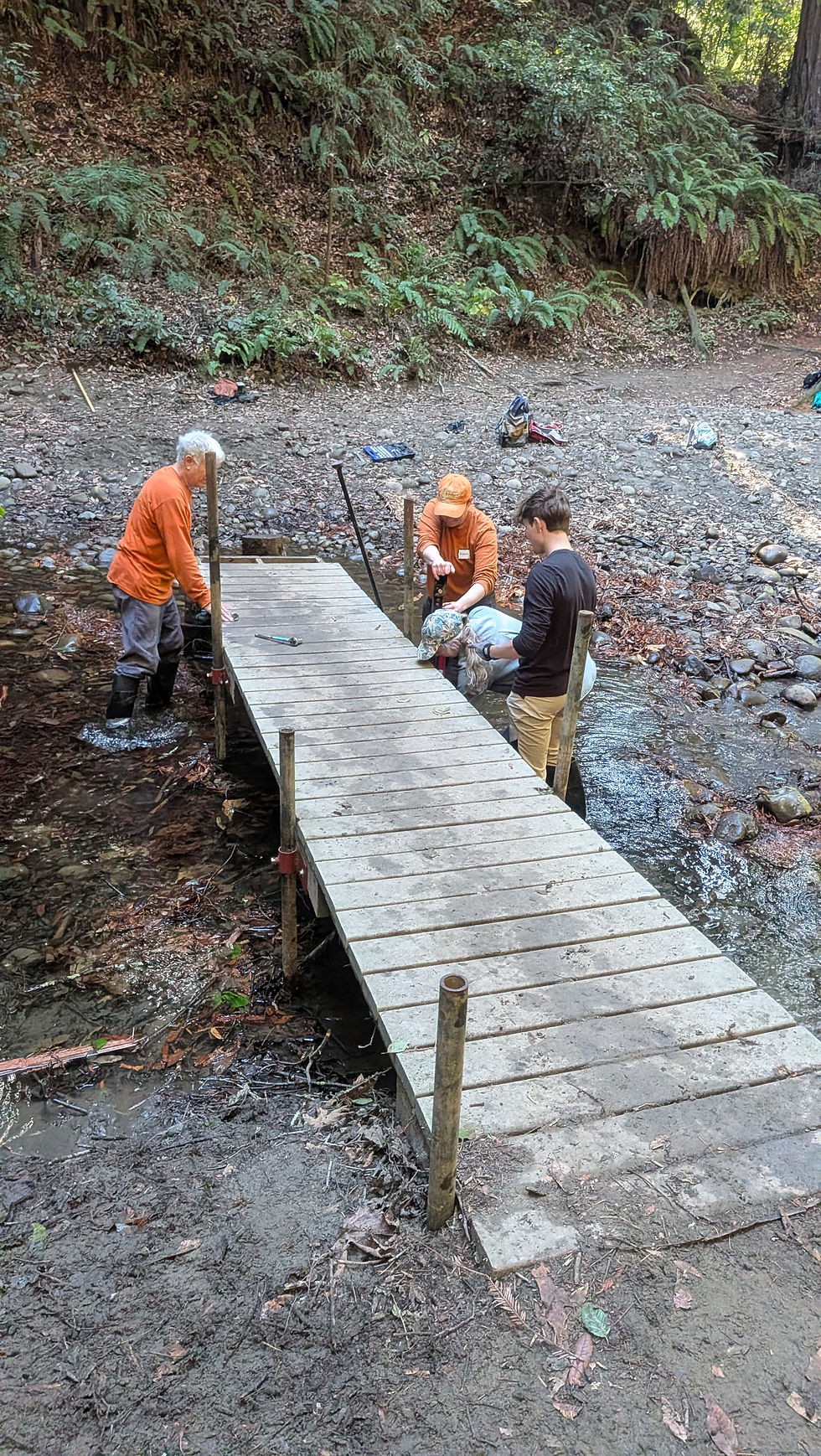 First step in disassembly