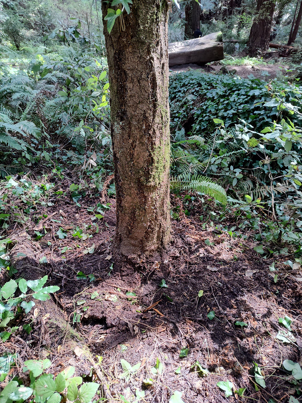 IMG_20260315_121109435_HDR