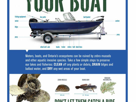 Lake Ecosystems and Your Boat!