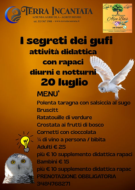 dumenza.jpg